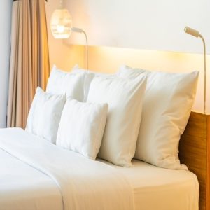 pillow cover1